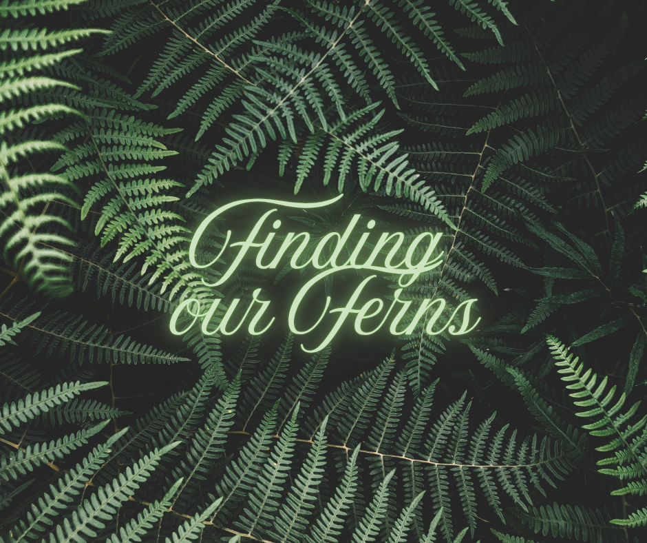 Finding our Ferns