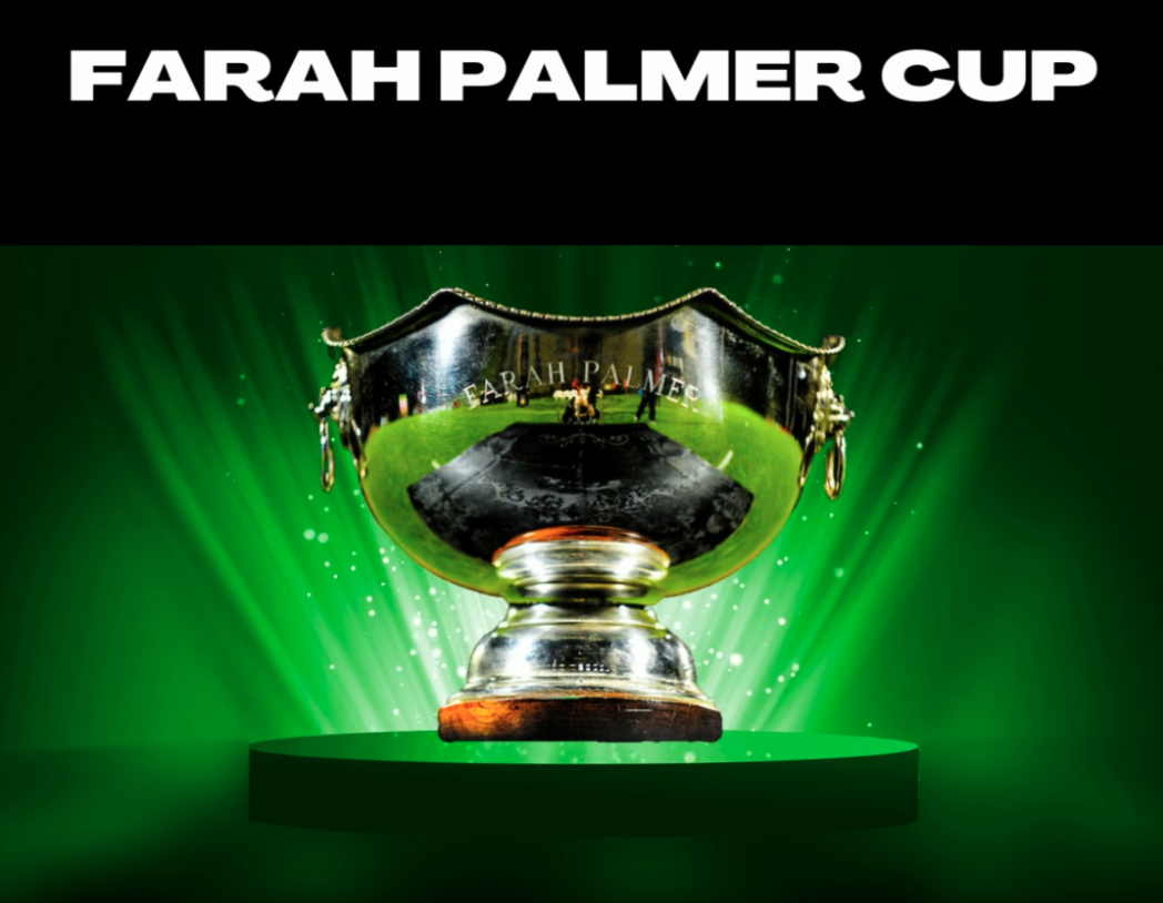 FPC Preview: Canterbury and the Auckland Storm