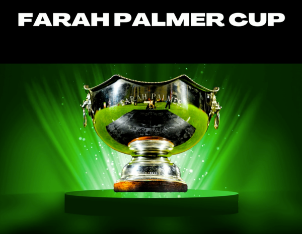 FPC Preview: Canterbury and the Auckland Storm